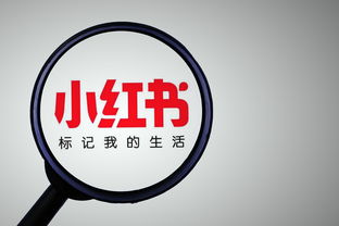 投中網(wǎng)