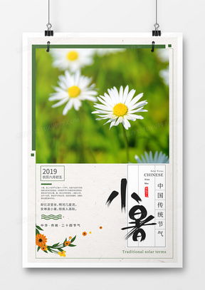 夏天背景廣告設(shè)計(jì)模板下載 精品夏天背景廣告設(shè)計(jì)大全 熊貓辦公